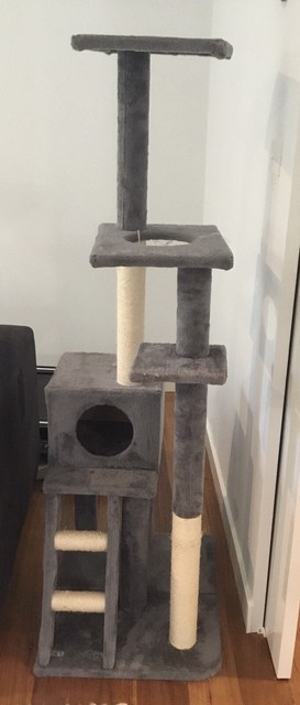 cat scratching pole kmart